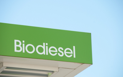 biodiesel manufacturers in india